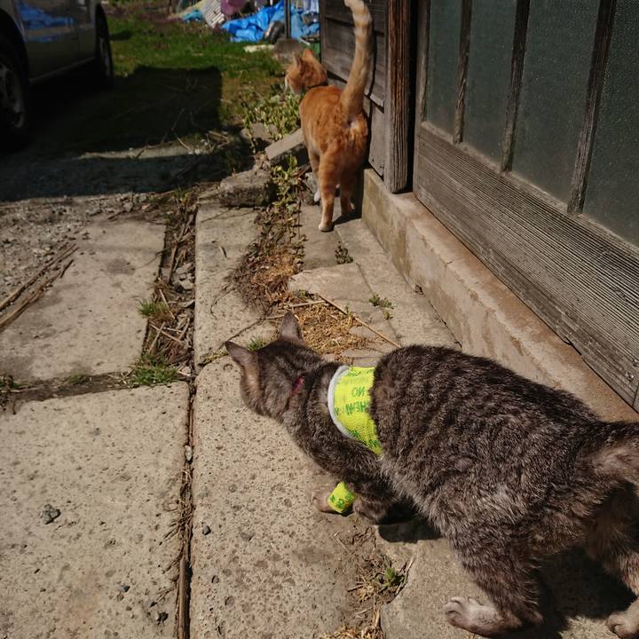 28d77561 3c8d 4b9c b38e fd38eb9b47f6 1586399059658