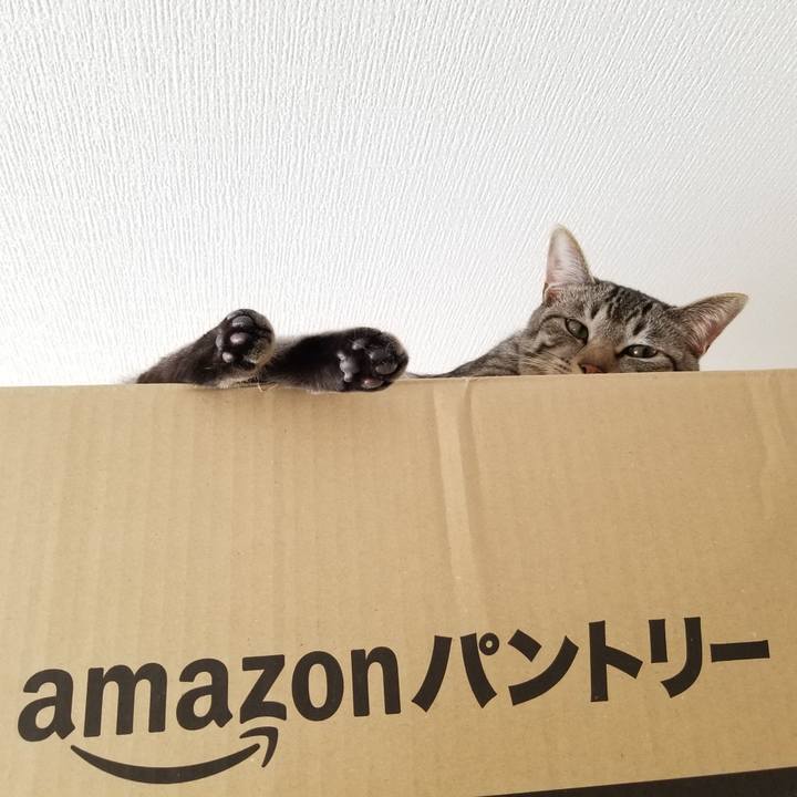 28d792d3 802a 4c65 be47 77bc4e437b4f 1676641058154