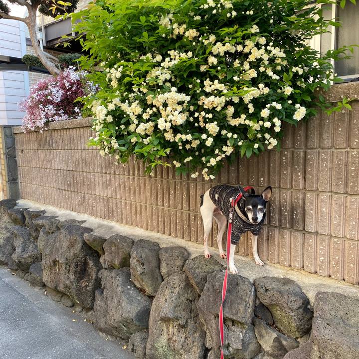 28d79a68 7551 437a bad3 8a1341cec73b 1587728572793