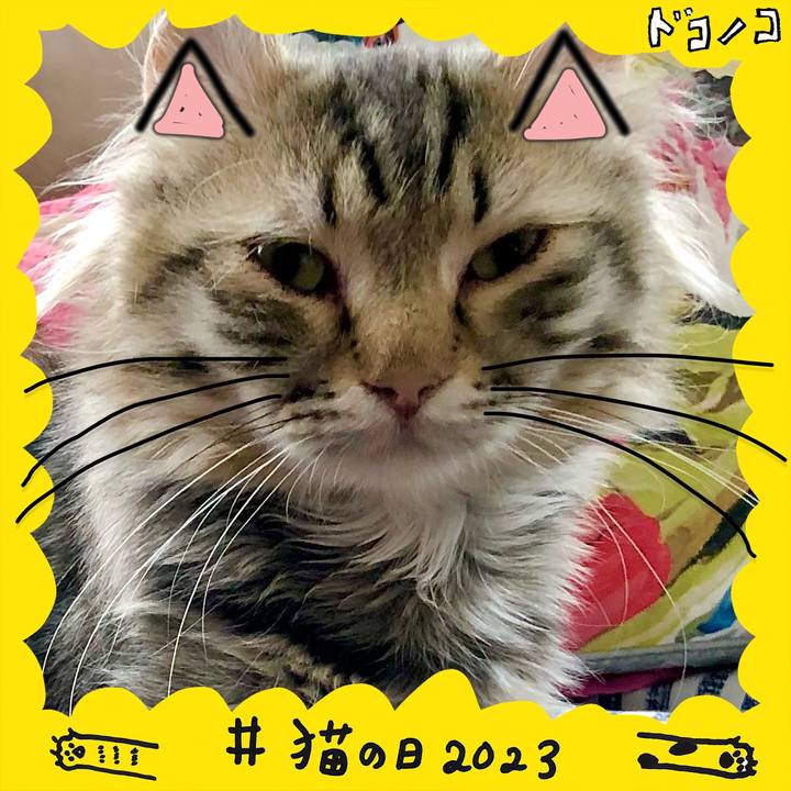 28d7cc10 55e0 4d81 98a2 00560f739a26 1677034235977