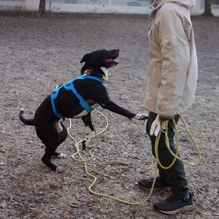 28d7f865 10da 44a0 ac0d ec5339c3cc66 1612484503388