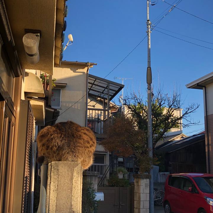 28d85801 06db 4d36 9b23 5e8dbc0e1634 1544860093356