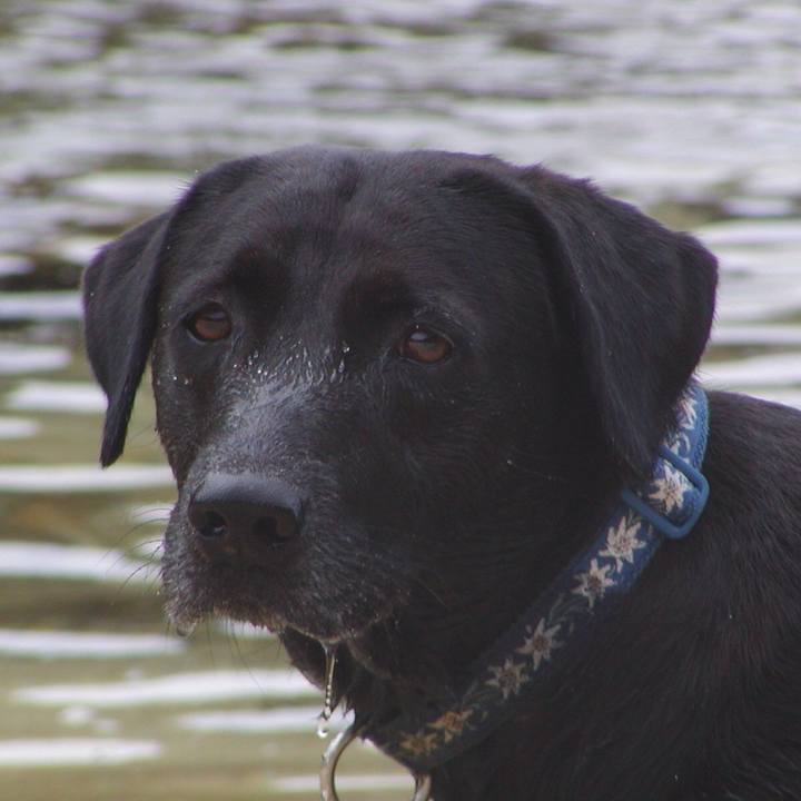 28d86037 ca54 45c3 a5ba 43cddc7ac76e 1521895369422