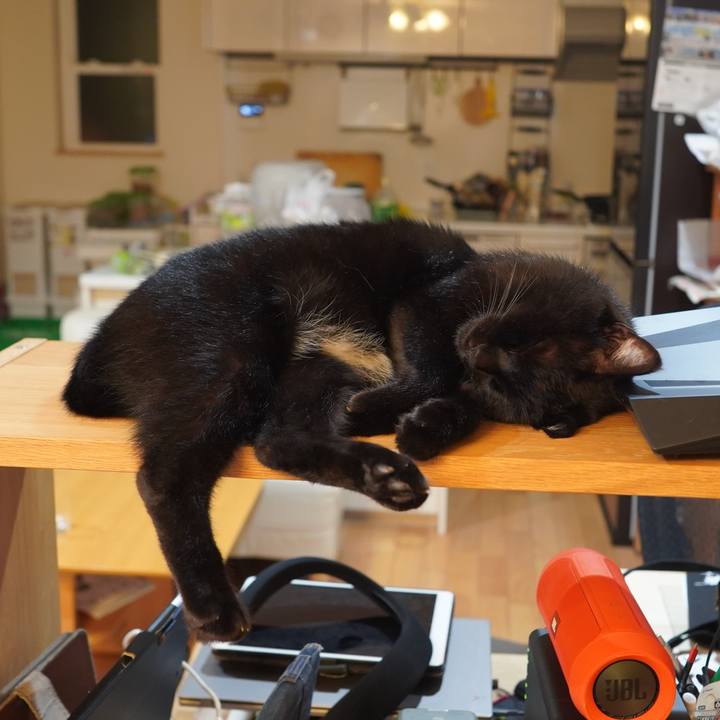 28d8a142 a50e 4b4f a4fe 9b14db943bb5 1601046585719