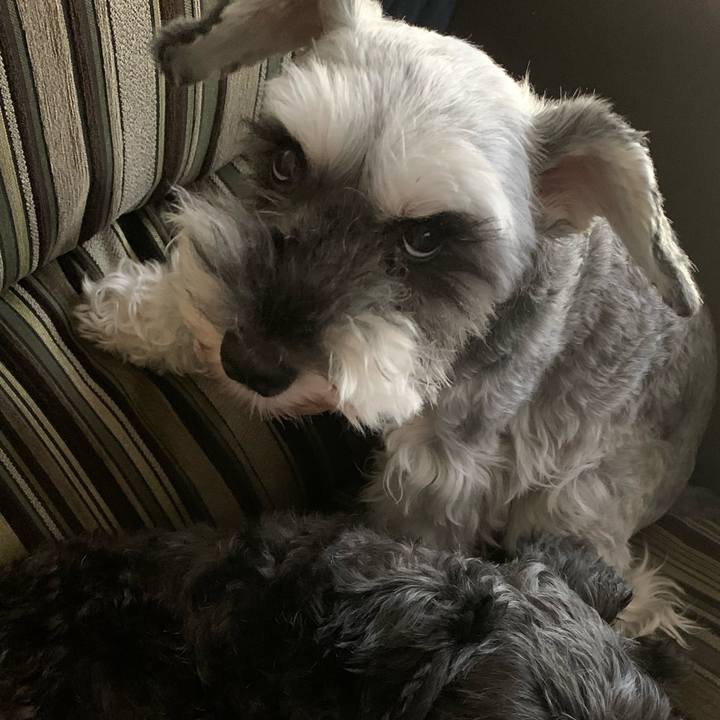 28d8d477 f5c5 424c 82cb a3d1999ad28e 1629257418320