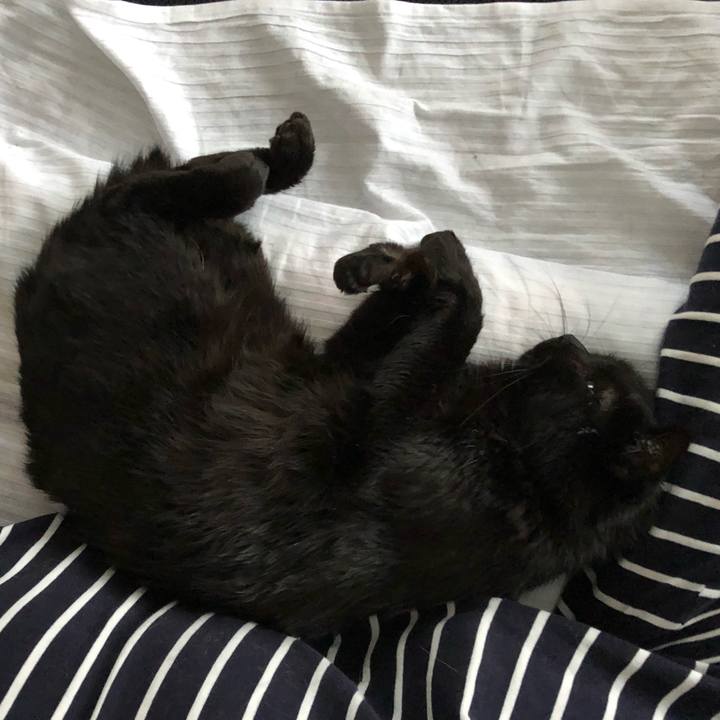 28d8e0ad 22b2 43f6 8cbd 984dbad36667 1583049178867