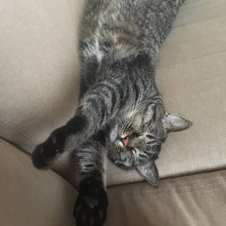 28d8f8bd ea3b 4ad3 a7e8 46150b3ee26e 1565264694549