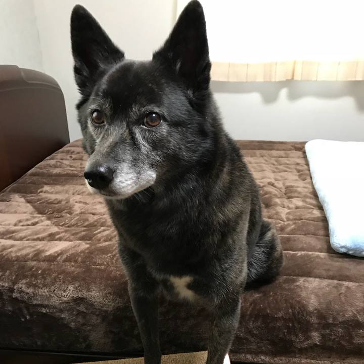 28d9051d 272b 444c 8595 3cfddd2576d9 1514816020747