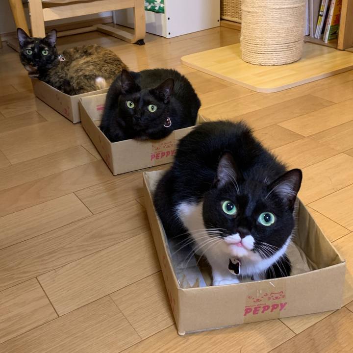 28d93ac9 1f5c 44c8 858b 72a97c1906fa 1563363141814