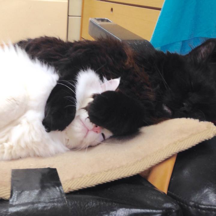 28d9507a 5eaf 453f b9bf 7c1591addec1 1523059888675