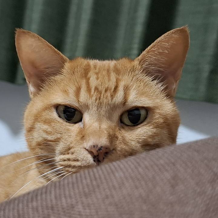 28d9548d c778 4a4e 9b24 32293b04d080 1728608538298