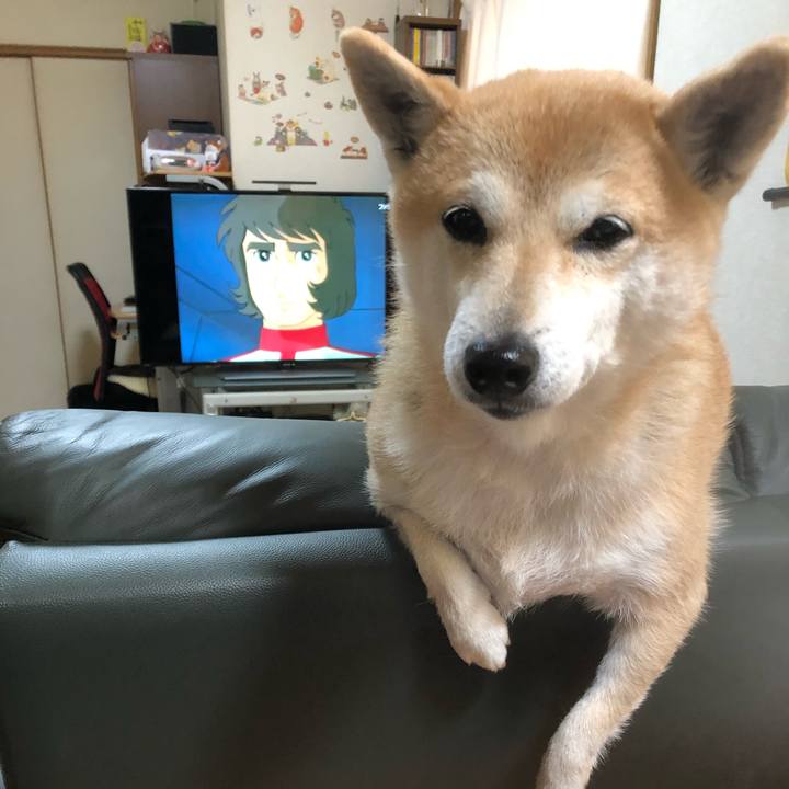 28d974ce 208f 4994 8aaf b19827baa25c 1577663857240