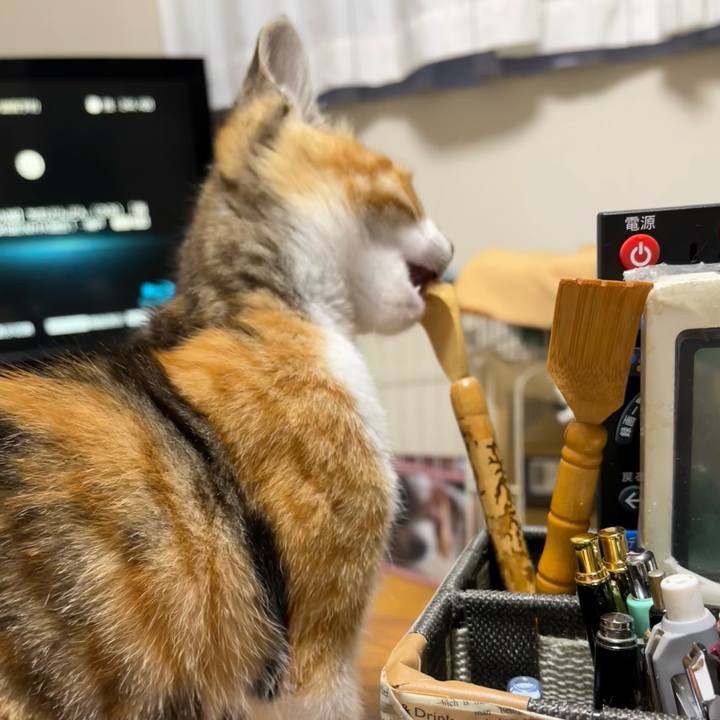 28d97f7c b2a6 4318 aa64 0b1b794baa84 1654122762924