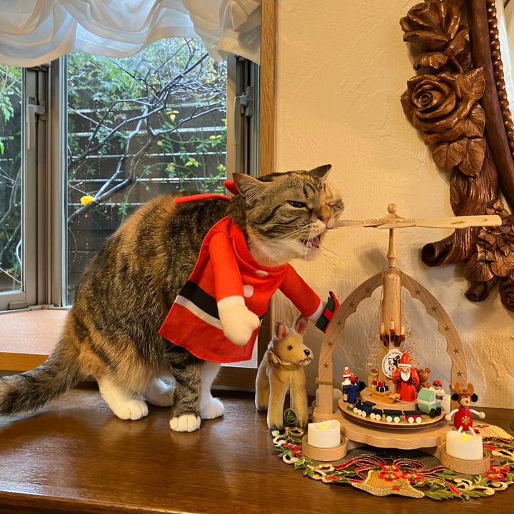 28d98ea2 0e50 449e b7ab a2ab62244640 1766544378367