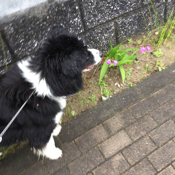 28d9b535 8330 40a9 a5cc 83040f24094e 1556502207810