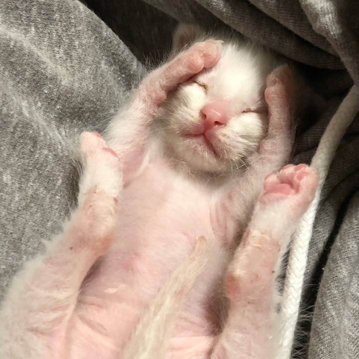 28da362e 1649 4c3b 985e a457cf3887f2 1590206710183