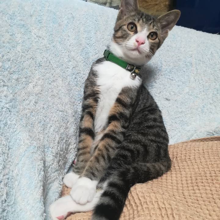 28da48d6 2296 4115 9920 812bc795cc50 1664163728077