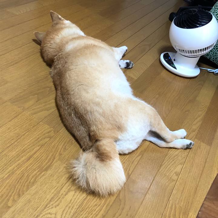 28da61fb 126e 4b8a 9b27 fd21fc2734e0 1598615405422