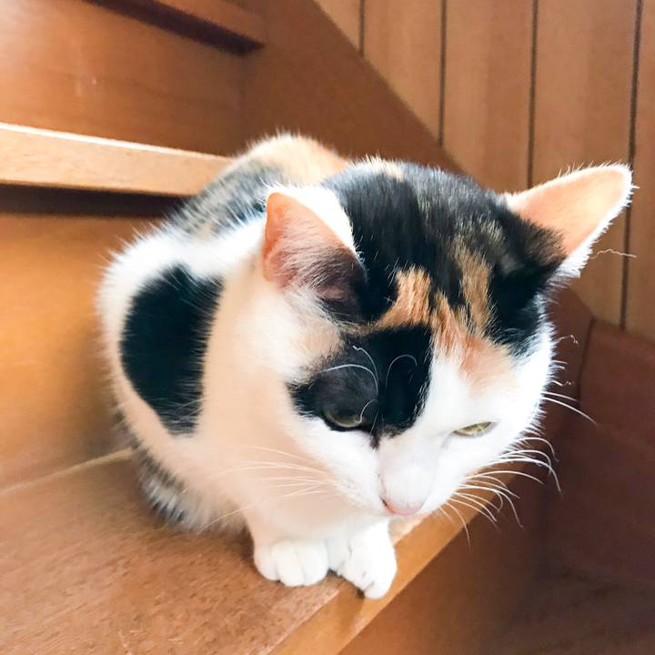 28da70d9 b034 4898 a316 cb1a4ffa094f 1521078314576