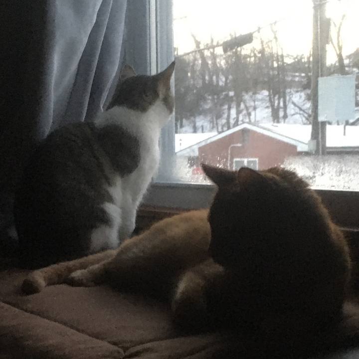 28da9ad7 09b8 4fcf 816d 754e5847cfbf 1633046835460