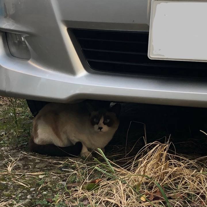 28dab420 8a1c 4d3e 9c01 2429baa4a3c7 1572726159388