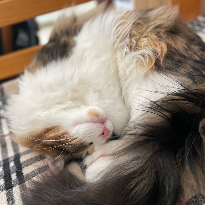 28dae803 ca4d 444a afef 100bd228303c 1644899931140