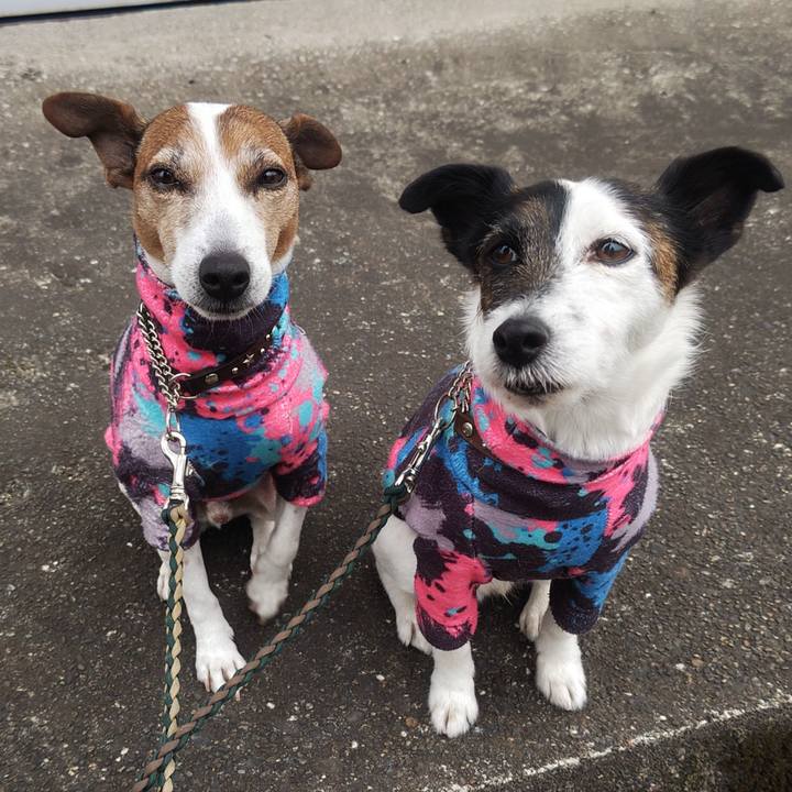 28db23fd 01ec 4b05 bb17 5574af669171 1770420709490