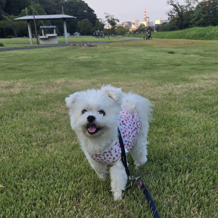 28db2bc3 3be3 4feb 80d1 596a855d0dcd 1756207741416