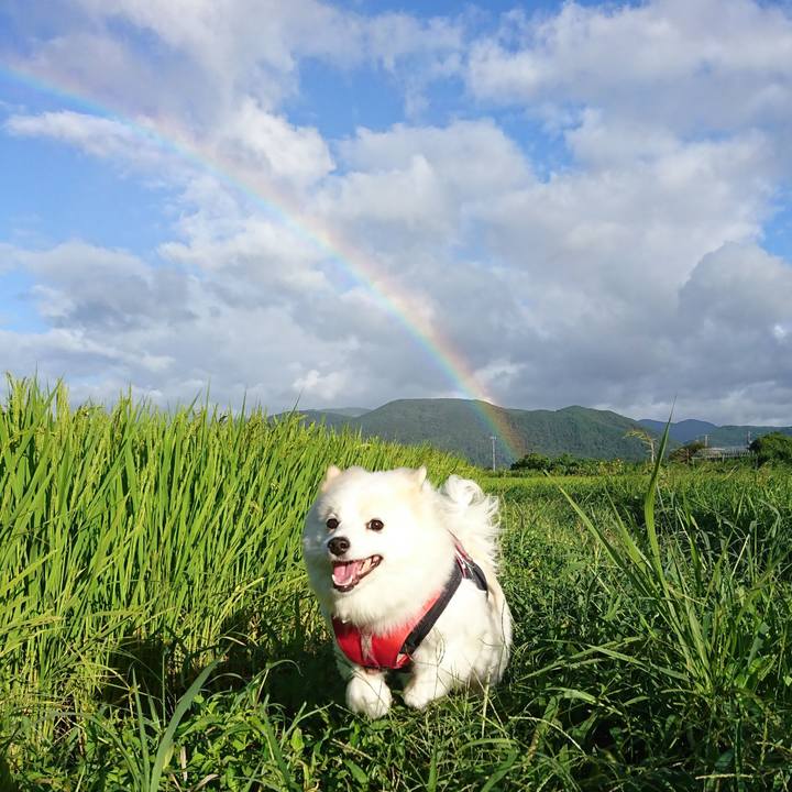 28db4d5b 4566 4108 8742 4525081d7794 1631158947793