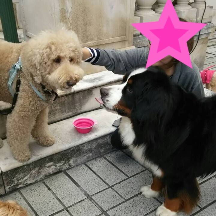 28db5f3a 95ff 4984 adc2 f0fe0fac9366 1523081204116