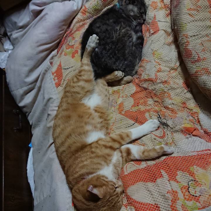 28db6435 c807 48d4 9db5 ca1bcedbd19f 1571835102545