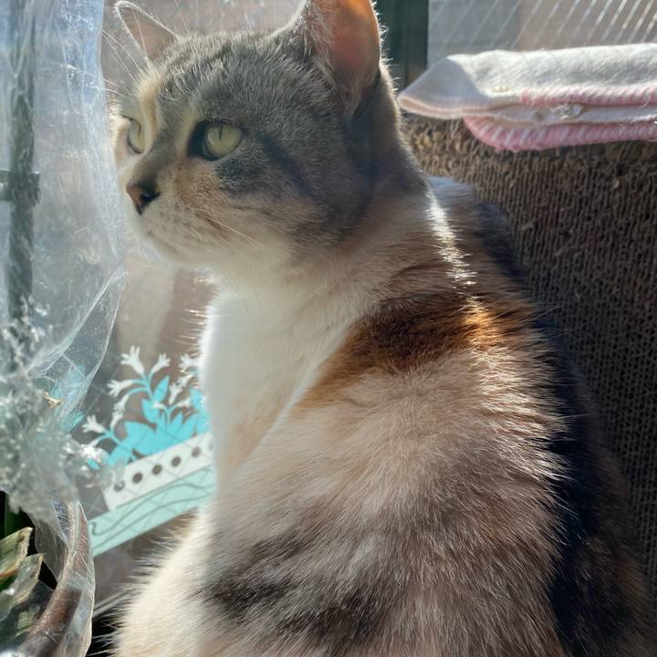 28db6c83 b7ec 4545 8088 6897a9b7a2bb 1645072994457