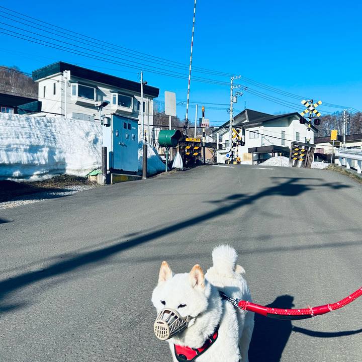 28db947c 7e8e 4d7a 9d33 d04af140a34f 1712269760324