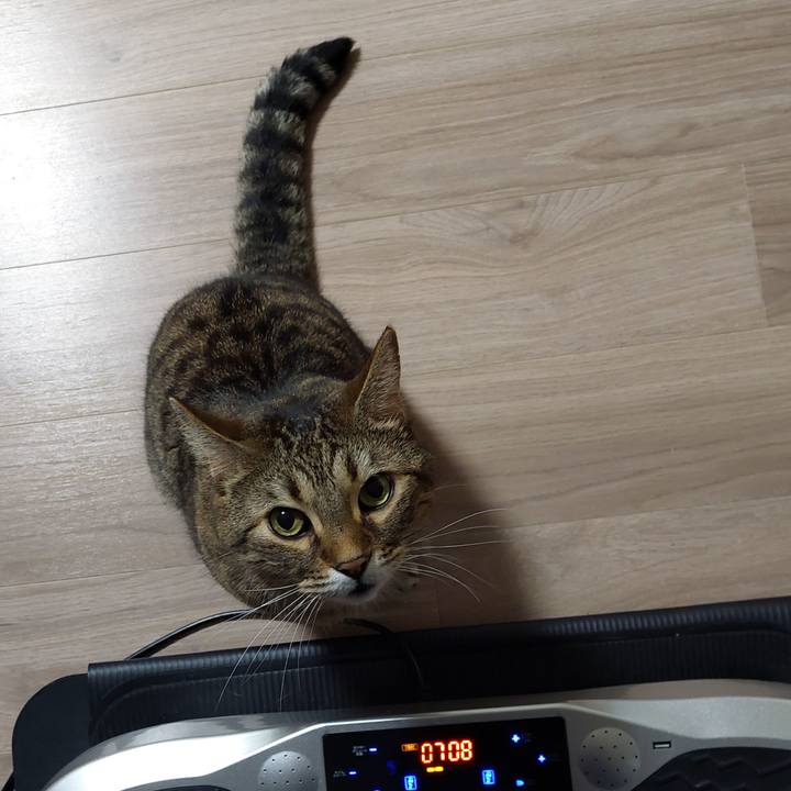 28dbef44 e247 4879 ae30 9db73d92a65b 1635284671110