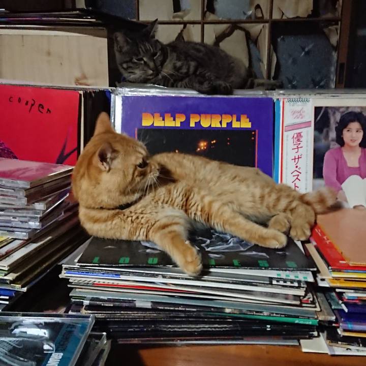 28dbf10a d4e2 4e69 b401 8c58b2709f38 1656254008439