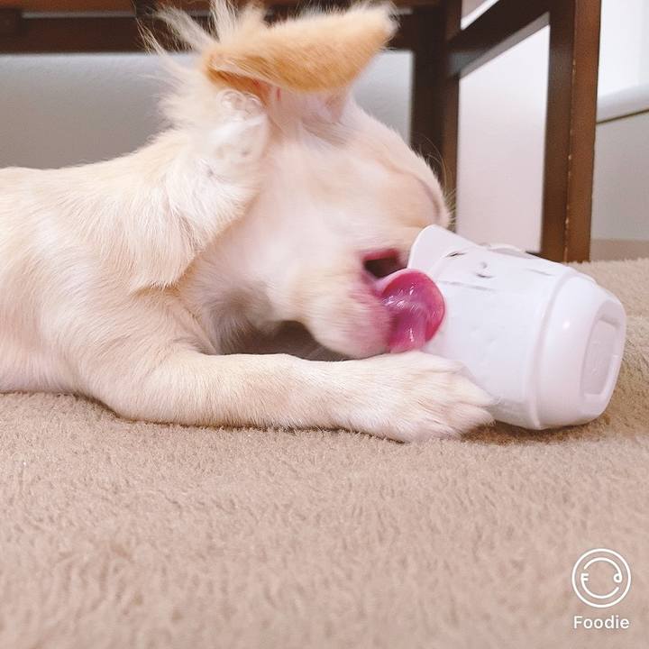 28dca3df b70e 4f47 8a53 d1fbe34dbc8c 1595904723850