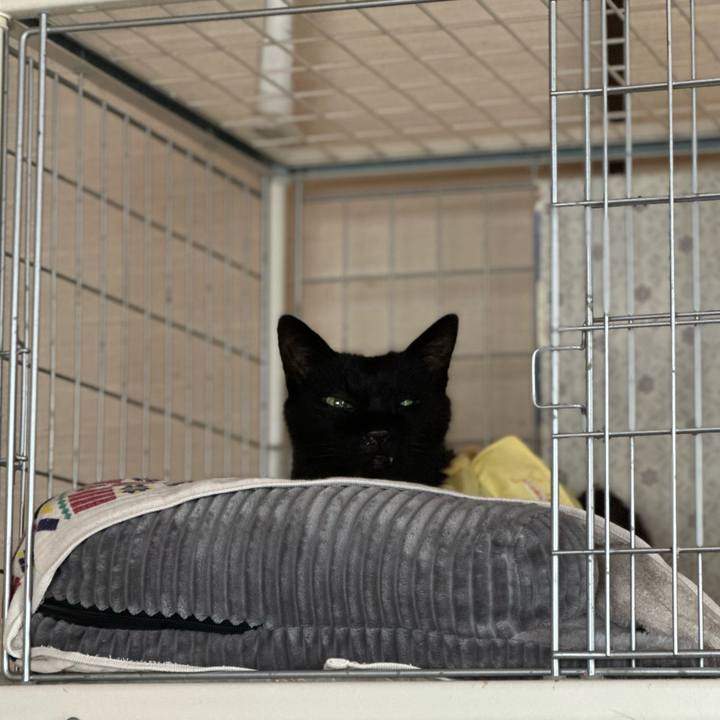 28dca7db fadc 4ff2 8228 e737e863afd3 1720577491921