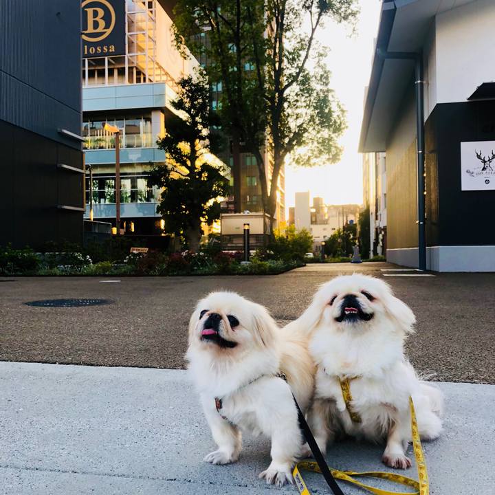 28dcab4a 23a1 4d3d a527 15a00842c73a 1601243972568