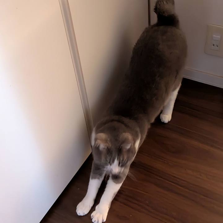 28dcc07d 19ea 46e6 ab8b 9afcc6301f80 1731363088107