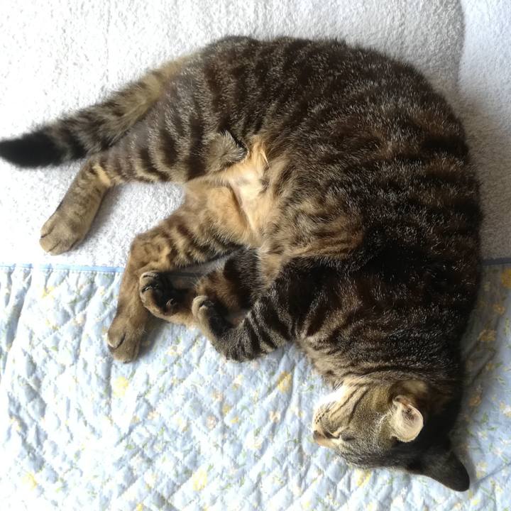 28dcc3b8 497e 4352 97f7 3bf0d935b365 1557464394348