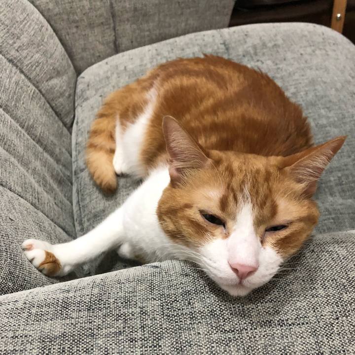 28dcc609 98b1 45a2 8975 2e8067a133f5 1552735301040