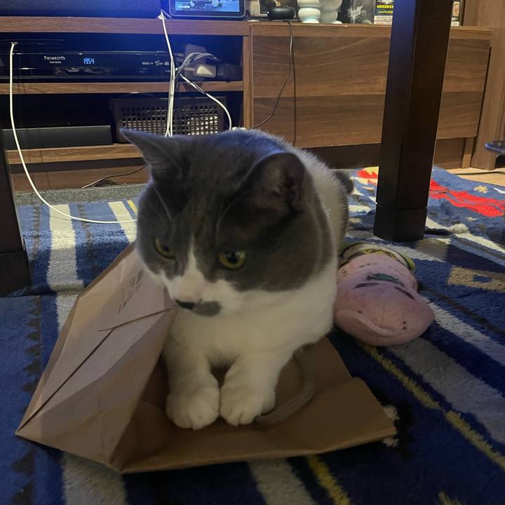 28dcec91 89f7 4fc2 8aa1 3791dde164ac 1684666504713