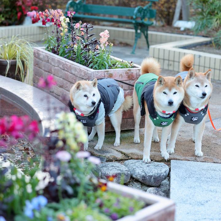 28dcfd9f 6598 4f1f ae5c 376eca3cbea1 1768442702196