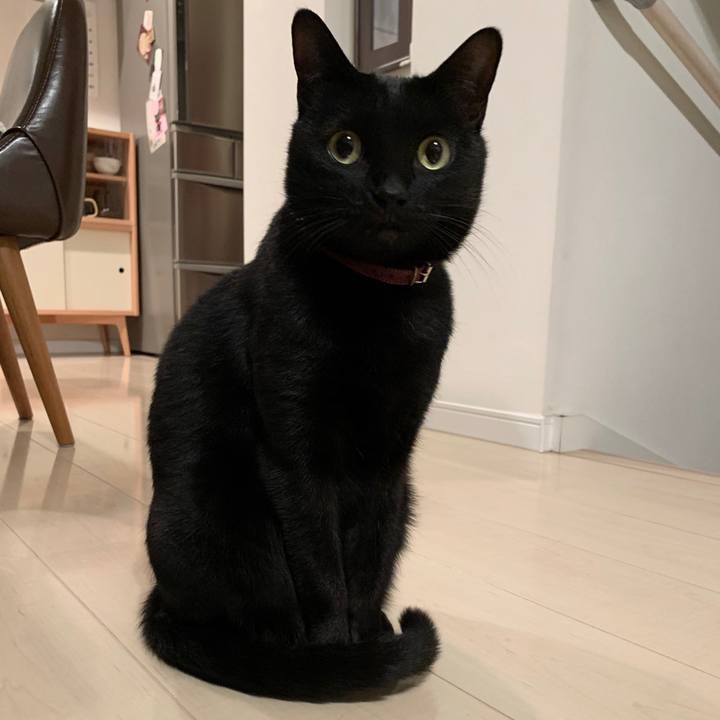 28dd3cbf 87ec 4b26 aa1d 93387bc9534b 1573470125265