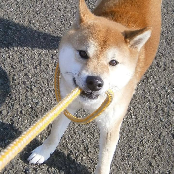 28dd50b0 cbbe 4af1 b60f aa6cda4b1925 1642594726032