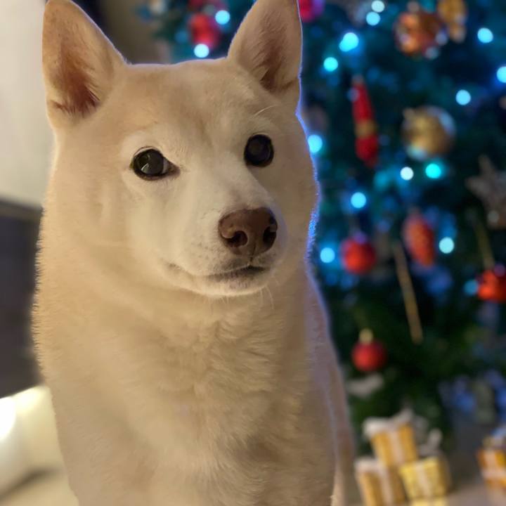 28dd716b 5783 47fd 9401 a58d3b404b25 1640238580737