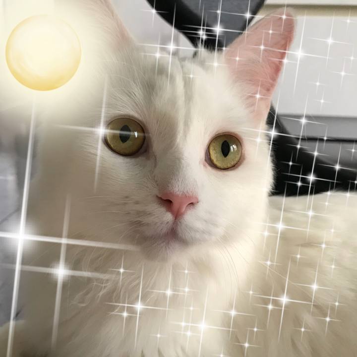 28dd9b20 676a 4641 85ff f0ef23c6c13b 1530963009299