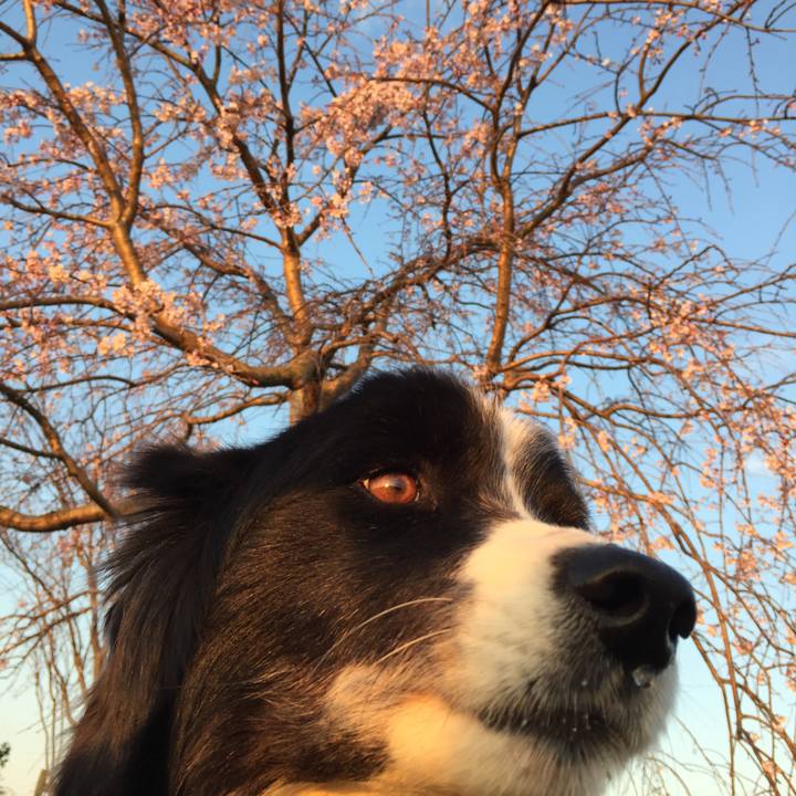 28dda78e 9faa 41e2 bf8e 64dcc9112283 1553379922170