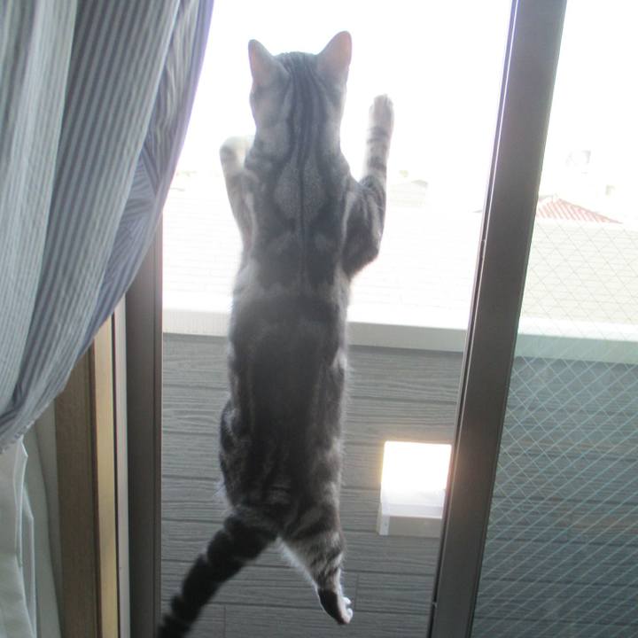 28ddb246 6458 4dc4 8156 911076fb2b03 1570021181952