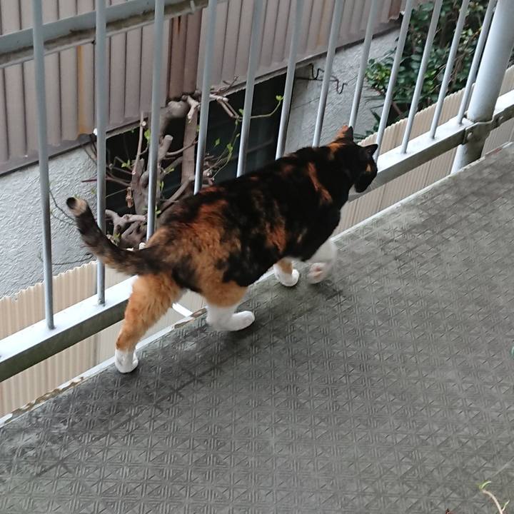 28ddc9da 858d 4d49 bde1 460c8a396665 1585567845589